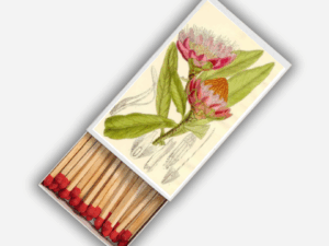 Protea Matchboxes