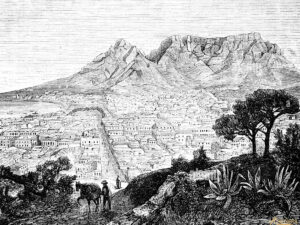 Table Mountain Disposable Paper Placemats Set 24
