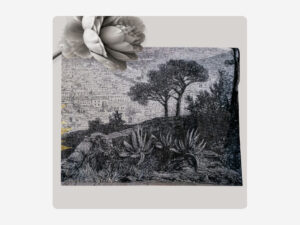 Cape Heritage Linen Feel Throw