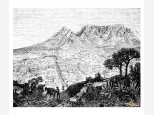 Table Mountain Disposable Paper Placemats Set 24