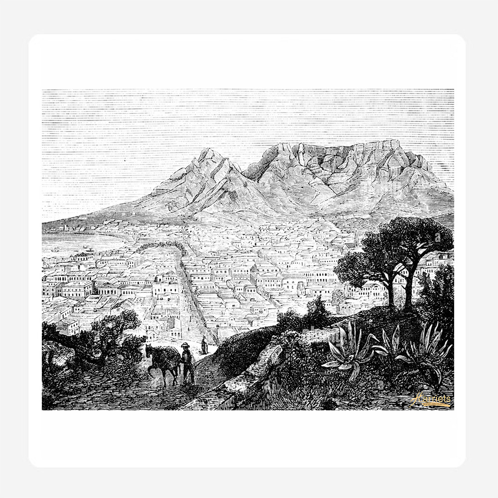 Table Mountain Disposable Paper Placemats Set 24