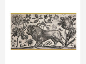 Lion Matchboxes