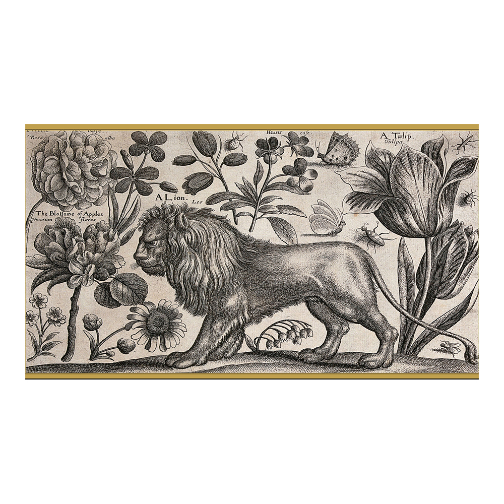 Lion Matchboxes - Image 2