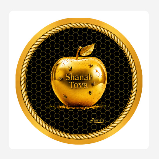 Gold Apple placemat Set 24