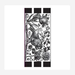 Napkin Lion Pack of 25