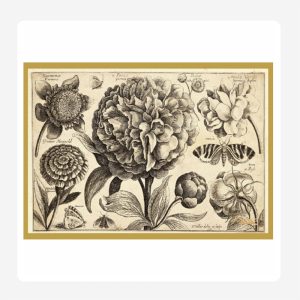 Botanical Flower Disposable Paper Placemats Set 24